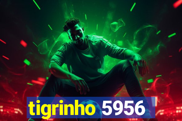 tigrinho 5956